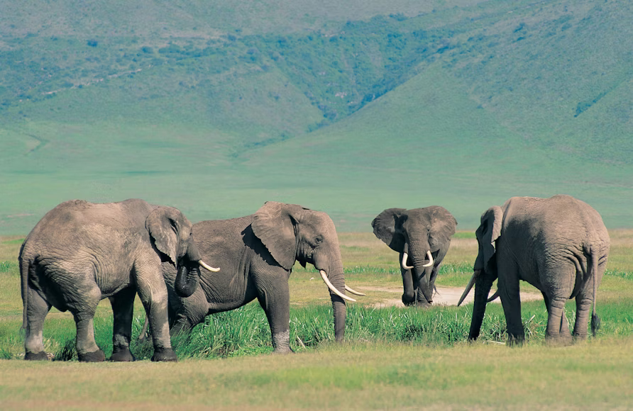 Tanzania