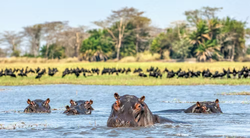 Uganda
