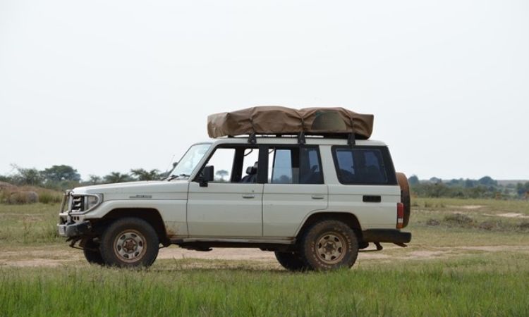 Toyota Land Cruser Latest